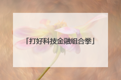 打好科技金融组合拳