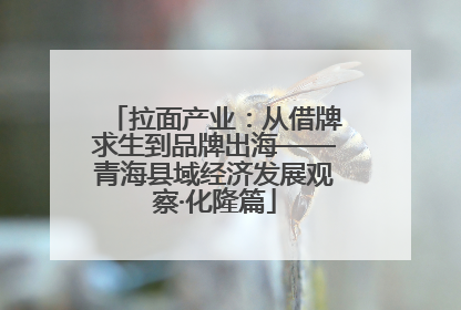 拉面产业：从借牌求生到品牌出海——青海县域经济发展观察·化隆篇