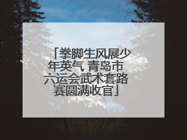 拳脚生风展少年英气 青岛市六运会武术套路赛圆满收官