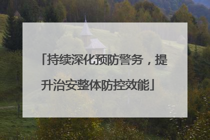 持续深化预防警务，提升治安整体防控效能
