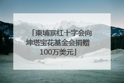 柬埔寨红十字会向坤塔宝花基金会捐赠100万美元
