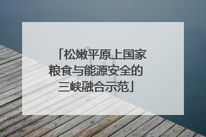 松嫩平原上国家粮食与能源安全的三峡融合示范