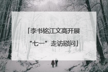 李书铭江文高开展“七一”走访慰问