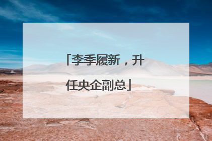 李季履新，升任央企副总