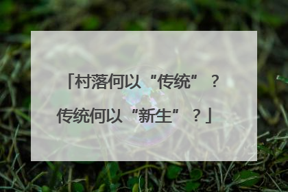 村落何以“传统”？传统何以“新生”？
