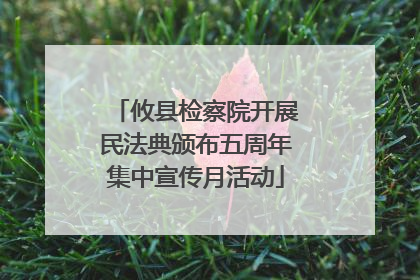攸县检察院开展民法典颁布五周年集中宣传月活动
