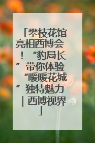 攀枝花馆亮相西博会！“豹局长”带你体验“暖暖花城”独特魅力｜西博视界