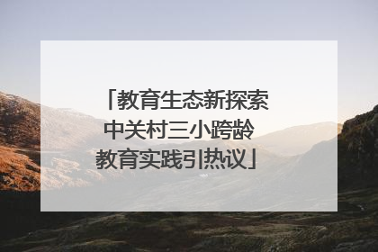 教育生态新探索 中关村三小跨龄教育实践引热议