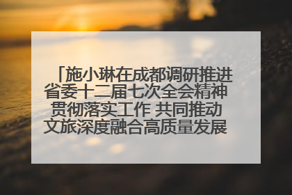 施小琳在成都调研推进省委十二届七次全会精神贯彻落实工作 共同推动文旅深度融合高质量发展 加快打造支柱产业民生产业幸福产业