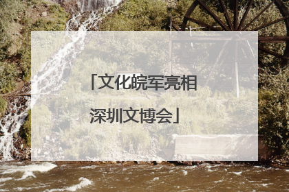 文化皖军亮相深圳文博会