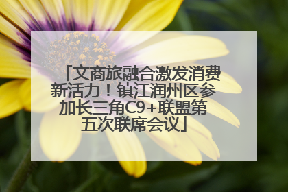 文商旅融合激发消费新活力！镇江润州区参加长三角C9+联盟第五次联席会议