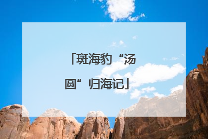 斑海豹“汤圆”归海记