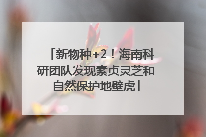 新物种+2！海南科研团队发现素贞灵芝和自然保护地壁虎