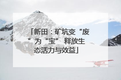 新田：矿坑变“废”为“宝” 释放生态活力与效益