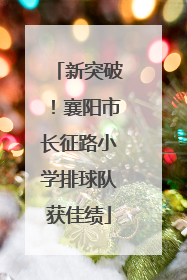 新突破！襄阳市长征路小学排球队获佳绩