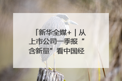 新华全媒+｜从上市公司一季报“含新量”看中国经济发展向“新”