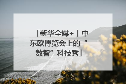 新华全媒+丨中东欧博览会上的“数智”科技秀