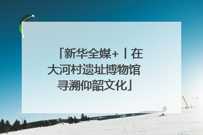 新华全媒+丨在大河村遗址博物馆寻溯仰韶文化
