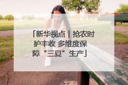 新华视点｜抢农时 护丰收 多维度保障“三夏”生产