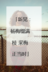 新晃：杨梅缀满枝 采梅正当时
