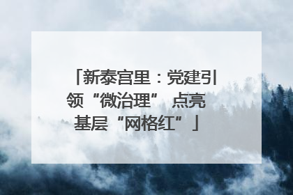 新泰宫里：党建引领“微治理” 点亮基层“网格红”