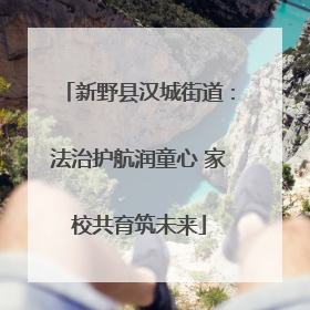 新野县汉城街道：法治护航润童心 家校共育筑未来