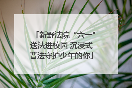 新野法院“六一”送法进校园 沉浸式普法守护少年的你