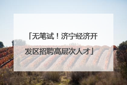 无笔试！济宁经济开发区招聘高层次人才
