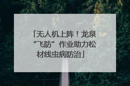 无人机上阵！龙泉“飞防”作业助力松材线虫病防治