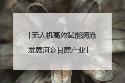 无人机高效赋能澜沧发展河乡甘蔗产业