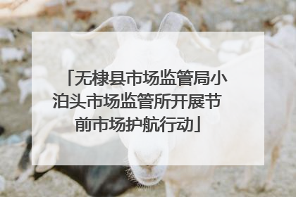 无棣县市场监管局小泊头市场监管所开展节前市场护航行动