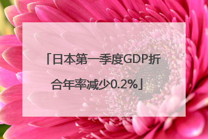 日本第一季度GDP折合年率减少0.2%