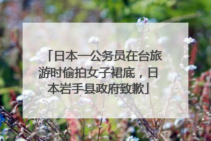 日本一公务员在台旅游时偷拍女子裙底，日本岩手县政府致歉