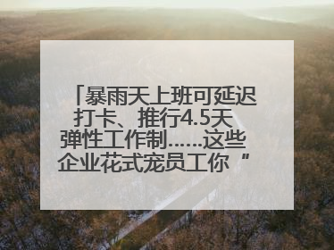 暴雨天上班可延迟打卡、推行4.5天弹性工作制……这些企业花式宠员工你“慕”了吗？