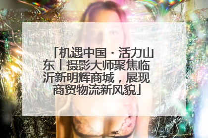 机遇中国・活力山东丨摄影大师聚焦临沂新明辉商城，展现商贸物流新风貌