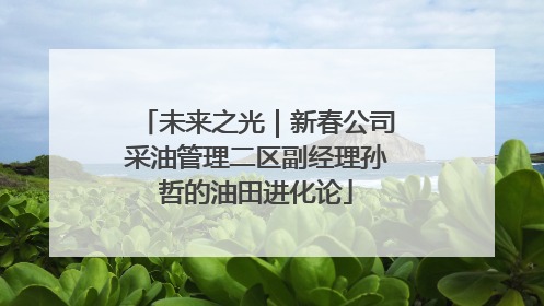 未来之光｜新春公司采油管理二区副经理孙哲的油田进化论