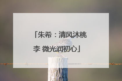 朱希：清风沐桃李 微光润初心