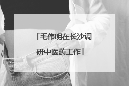 毛伟明在长沙调研中医药工作