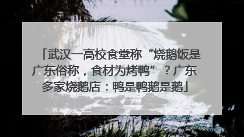 武汉一高校食堂称“烧鹅饭是广东俗称，食材为烤鸭”？广东多家烧鹅店：鸭是鸭鹅是鹅