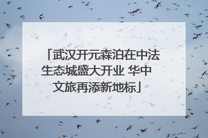 武汉开元森泊在中法生态城盛大开业 华中文旅再添新地标
