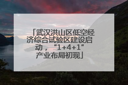 武汉洪山区低空经济综合试验区建设启动，“1+4+1”产业布局初现