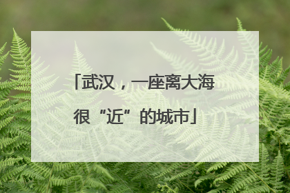 武汉，一座离大海很“近”的城市