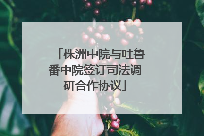 株洲中院与吐鲁番中院签订司法调研合作协议