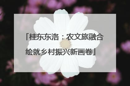 桂东东洛：农文旅融合绘就乡村振兴新画卷