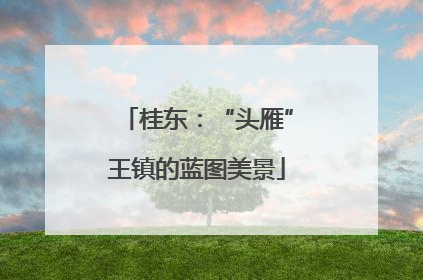 桂东：“头雁”王镇的蓝图美景