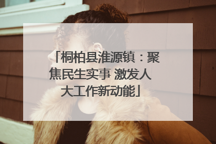 桐柏县淮源镇：聚焦民生实事 激发人大工作新动能