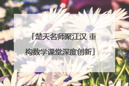 楚天名师聚江汉 重构数学课堂深度创新