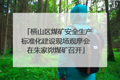 横山区煤矿安全生产标准化建设现场观摩会在朱家峁煤矿召开