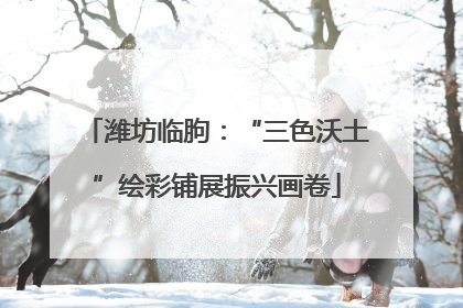 潍坊临朐：“三色沃土”绘彩铺展振兴画卷
