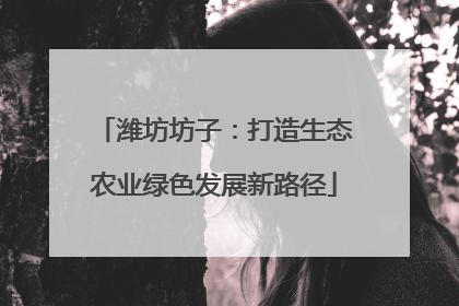 潍坊坊子：打造生态农业绿色发展新路径